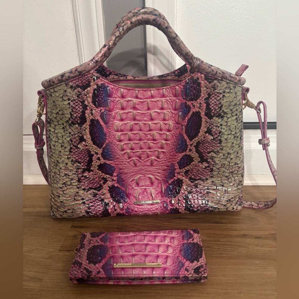 Brahmin Elaine and Ady in Pink Cobra Ombré